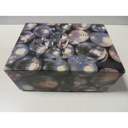 image: CPRA109